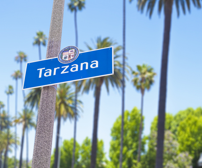 VoIP Integration and Cloud Migration for a General Practice Law Firm in Tarzana, CA